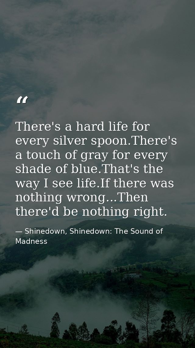 There's a hard life for every silver spoon.There's a touch of gray for every shade of blue.That's the way I see life.If  — Shinedown, Shinedown: The Sound of Madness