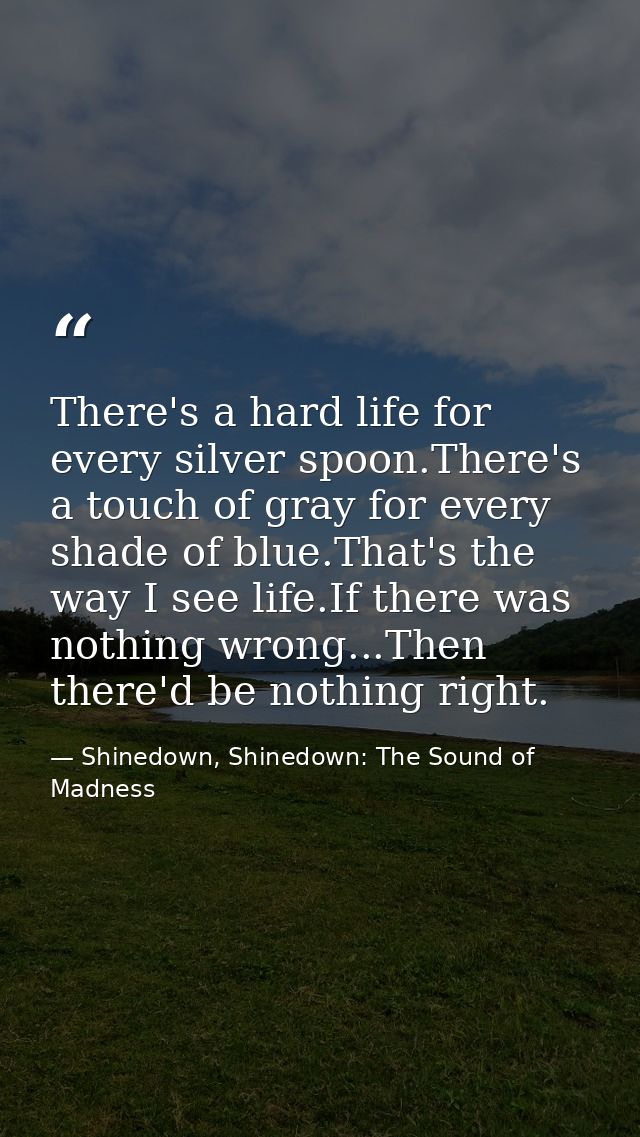 There's a hard life for every silver spoon.There's a touch of gray for every shade of blue.That's the way I see life.If  — Shinedown, Shinedown: The Sound of Madness