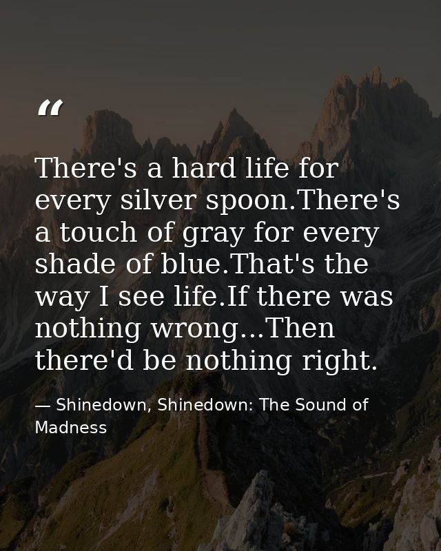 There's a hard life for every silver spoon.There's a touch of gray for every shade of blue.That's the way I see life.If  — Shinedown, Shinedown: The Sound of Madness