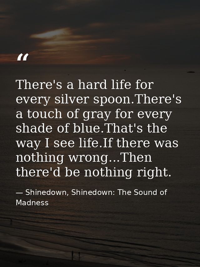 There's a hard life for every silver spoon.There's a touch of gray for every shade of blue.That's the way I see life.If  — Shinedown, Shinedown: The Sound of Madness