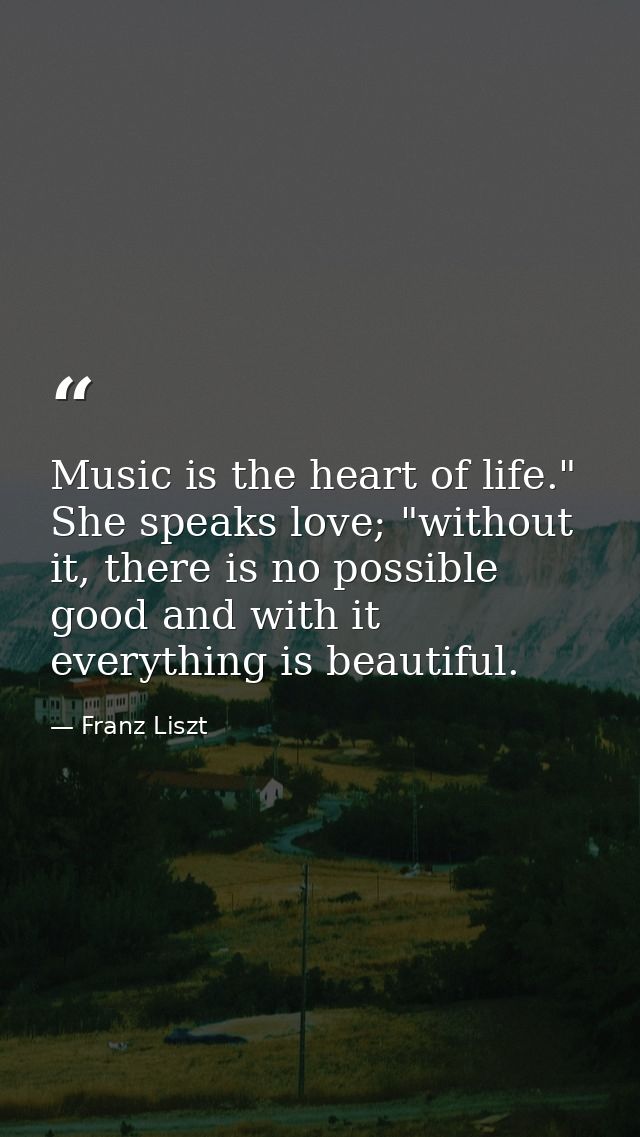 Music is the heart of life." She speaks love; "without it, there is no possible good and with it everything is beautiful — Franz Liszt