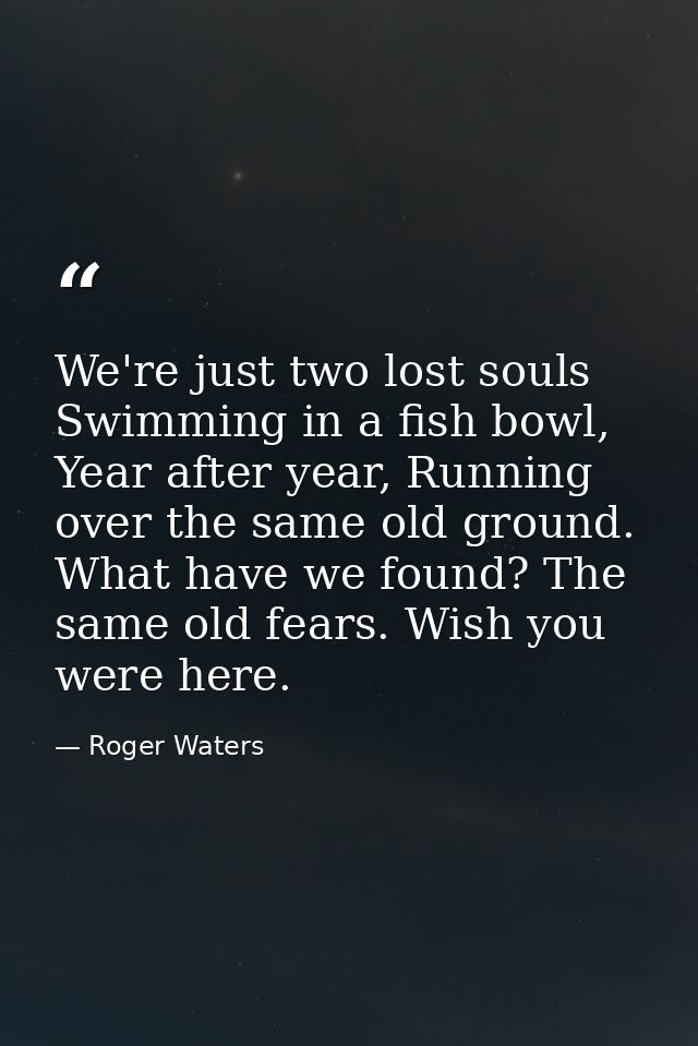 We're just two lost souls Swimming in a fish bowl, Year after year, Running over the same old ground. What have we found — Roger Waters