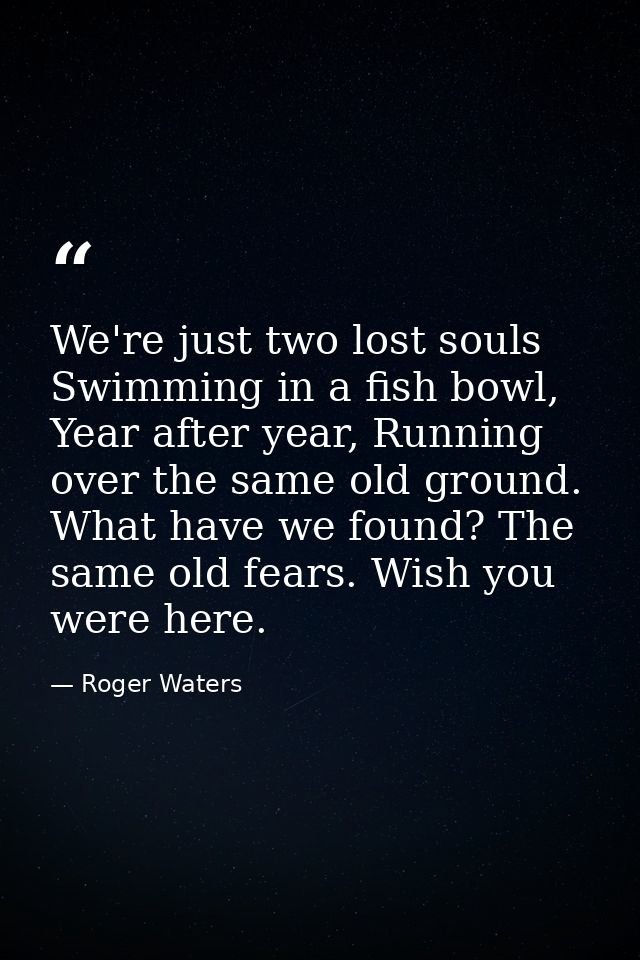 We're just two lost souls Swimming in a fish bowl, Year after year, Running over the same old ground. What have we found — Roger Waters