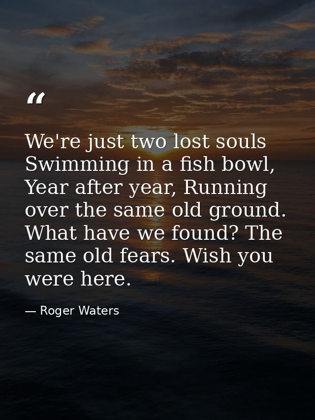 We're just two lost souls Swimming in a fish bowl, Year after year, Running over the same old ground. What have we found — Roger Waters