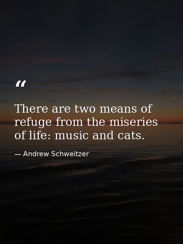 There are two means of refuge from the miseries of life: music and cats. — Andrew Schweitzer