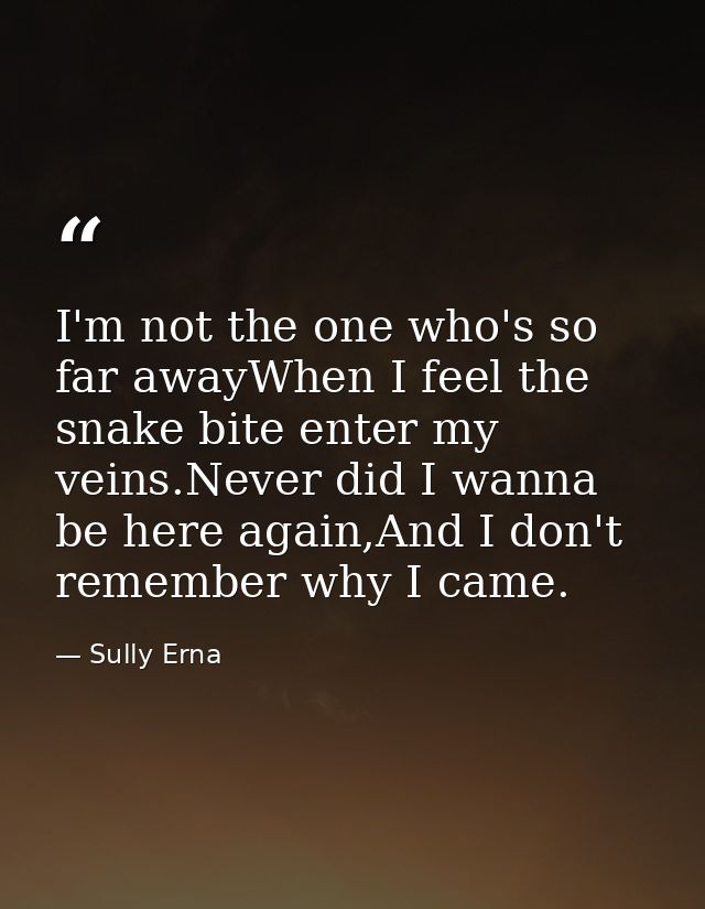 I'm not the one who's so far awayWhen I feel the snake bite enter my veins.Never did I wanna be here again,And I don't r — Sully Erna