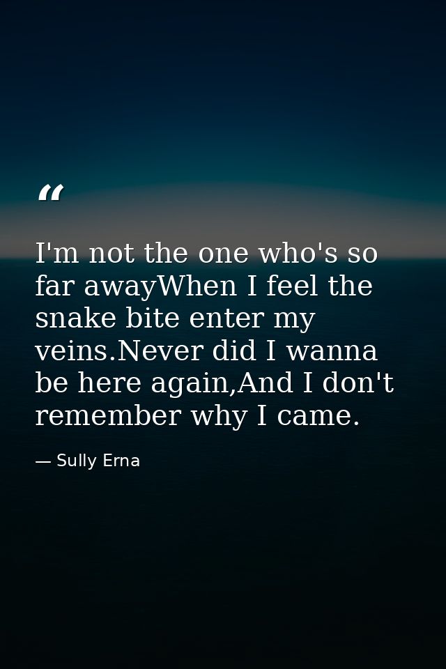 I'm not the one who's so far awayWhen I feel the snake bite enter my veins.Never did I wanna be here again,And I don't r — Sully Erna