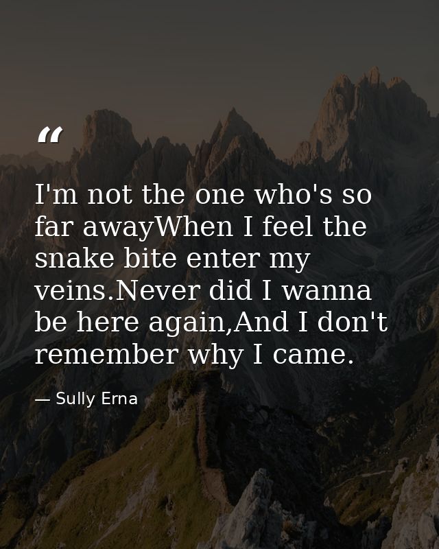 I'm not the one who's so far awayWhen I feel the snake bite enter my veins.Never did I wanna be here again,And I don't r — Sully Erna
