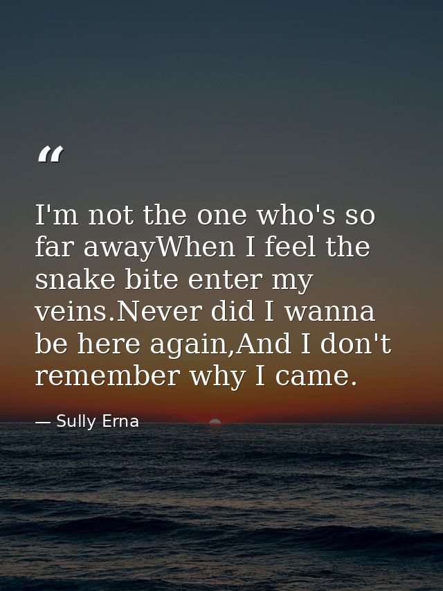 I'm not the one who's so far awayWhen I feel the snake bite enter my veins.Never did I wanna be here again,And I don't r — Sully Erna