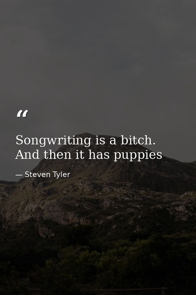 Songwriting is a bitch. And then it has puppies — Steven Tyler