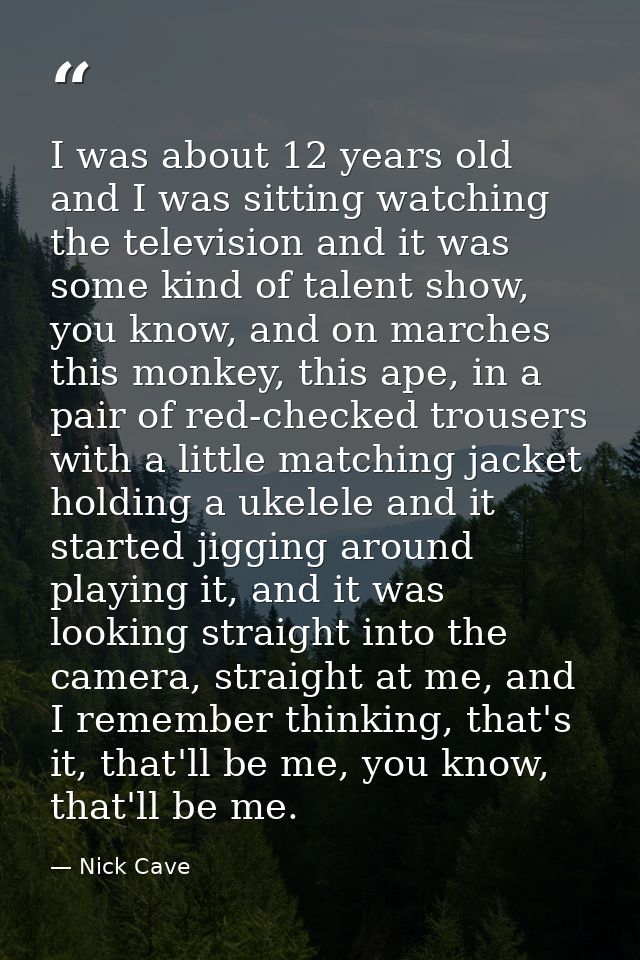 I was about 12 years old and I was sitting watching the television and it was some kind of talent show, you know, and on — Nick Cave