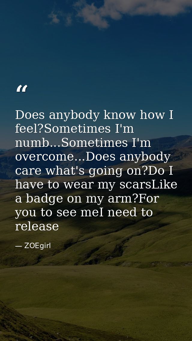 Does anybody know how I feel?Sometimes I'm numb...Sometimes I'm overcome...Does anybody care what's going on?Do I have t — ZOEgirl