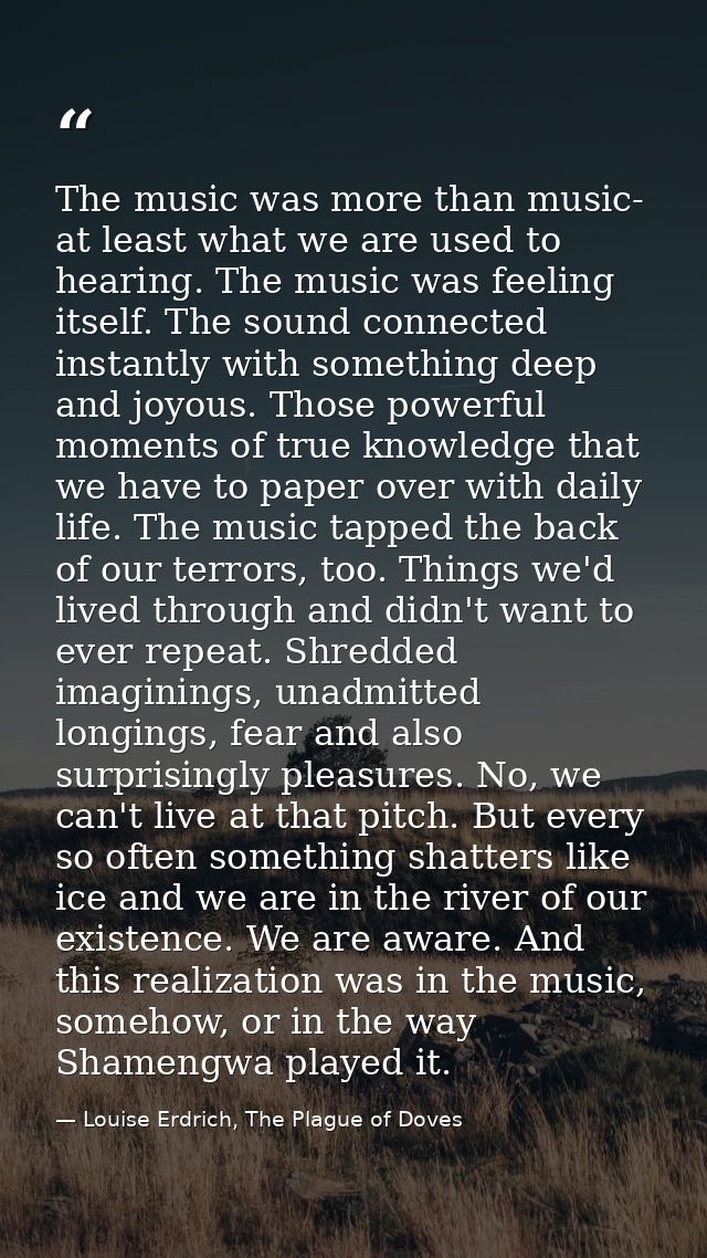 The music was more than music- at least what we are used to hearing. The music was feeling itself. The sound connected i — Louise Erdrich, The Plague of Doves
