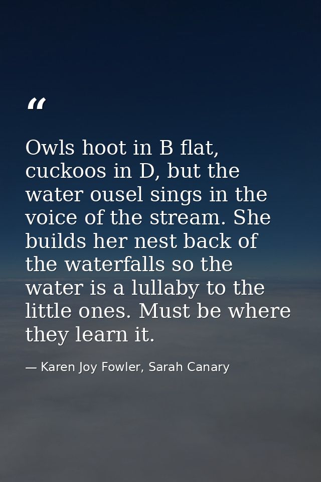 Owls hoot in B flat, cuckoos in D, but the water ousel sings in the voice of the stream. She builds her nest back of the — Karen Joy Fowler, Sarah Canary