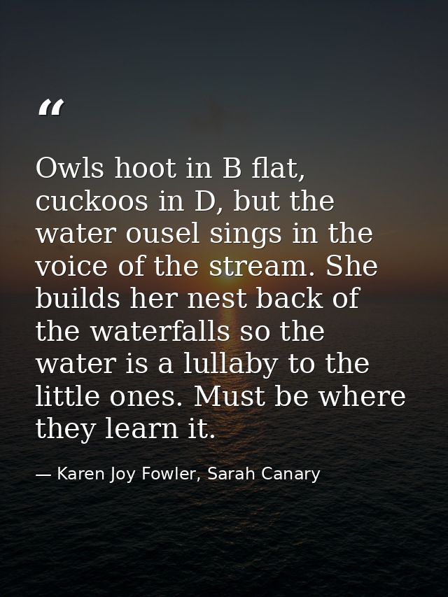 Owls hoot in B flat, cuckoos in D, but the water ousel sings in the voice of the stream. She builds her nest back of the — Karen Joy Fowler, Sarah Canary