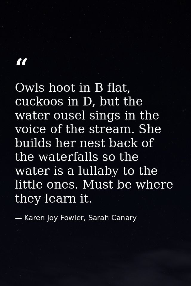 Owls hoot in B flat, cuckoos in D, but the water ousel sings in the voice of the stream. She builds her nest back of the — Karen Joy Fowler, Sarah Canary