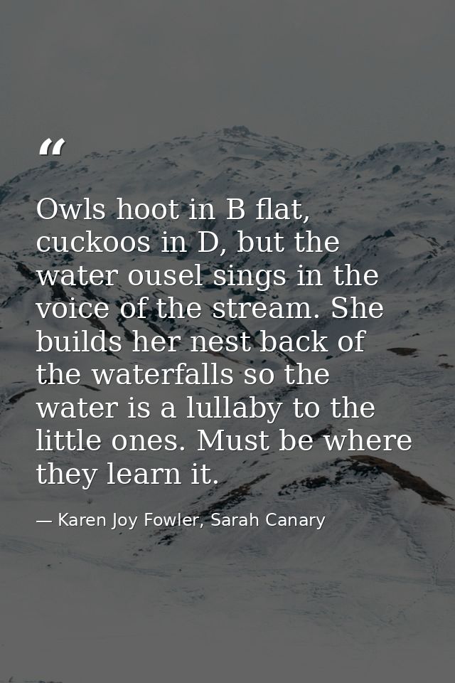 Owls hoot in B flat, cuckoos in D, but the water ousel sings in the voice of the stream. She builds her nest back of the — Karen Joy Fowler, Sarah Canary