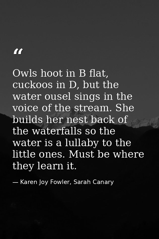 Owls hoot in B flat, cuckoos in D, but the water ousel sings in the voice of the stream. She builds her nest back of the — Karen Joy Fowler, Sarah Canary