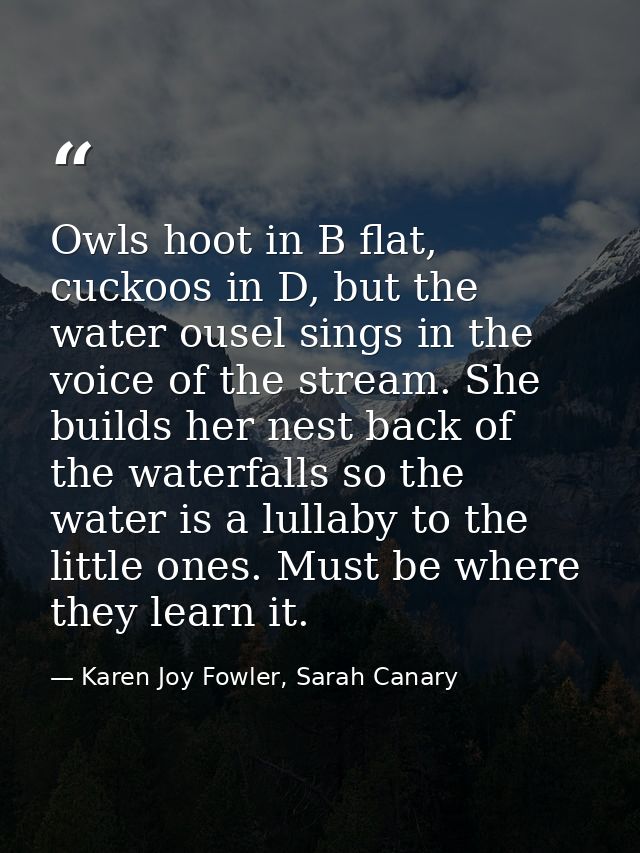 Owls hoot in B flat, cuckoos in D, but the water ousel sings in the voice of the stream. She builds her nest back of the — Karen Joy Fowler, Sarah Canary