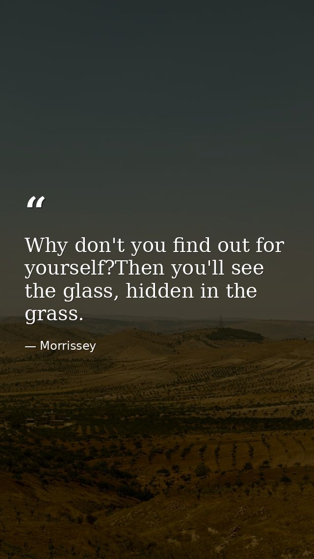 Why don't you find out for yourself?Then you'll see the glass, hidden in the grass. — Morrissey