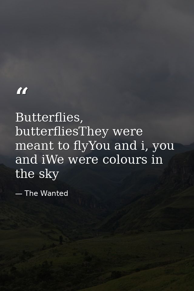 Butterflies, butterfliesThey were meant to flyYou and i, you and iWe were colours in the sky — The Wanted