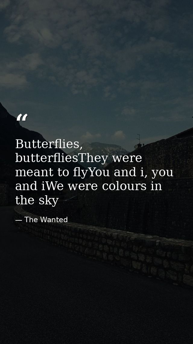 Butterflies, butterfliesThey were meant to flyYou and i, you and iWe were colours in the sky — The Wanted