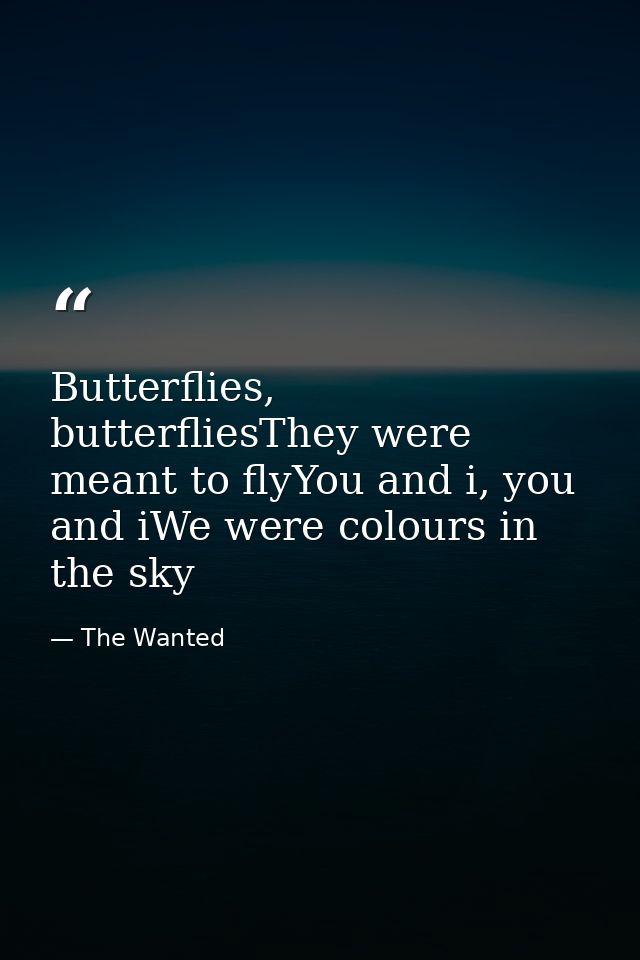 Butterflies, butterfliesThey were meant to flyYou and i, you and iWe were colours in the sky — The Wanted