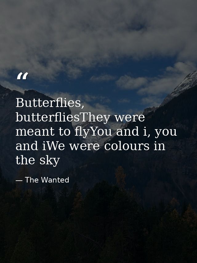 Butterflies, butterfliesThey were meant to flyYou and i, you and iWe were colours in the sky — The Wanted