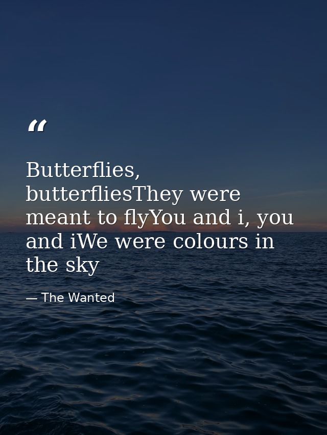 Butterflies, butterfliesThey were meant to flyYou and i, you and iWe were colours in the sky — The Wanted