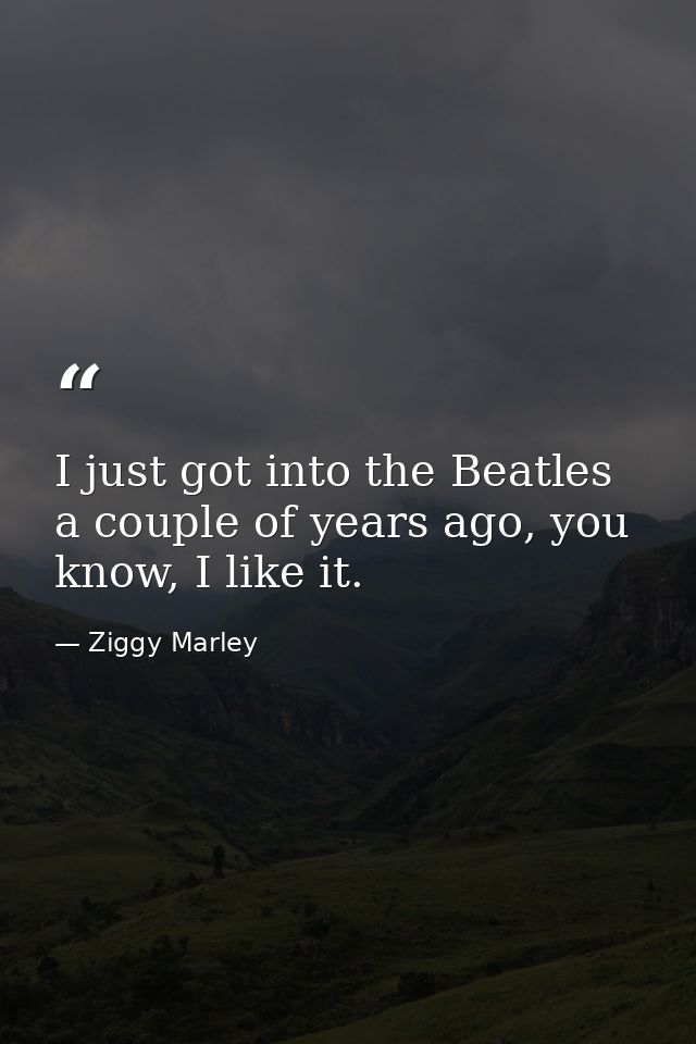 I just got into the Beatles a couple of years ago, you know, I like it. — Ziggy Marley