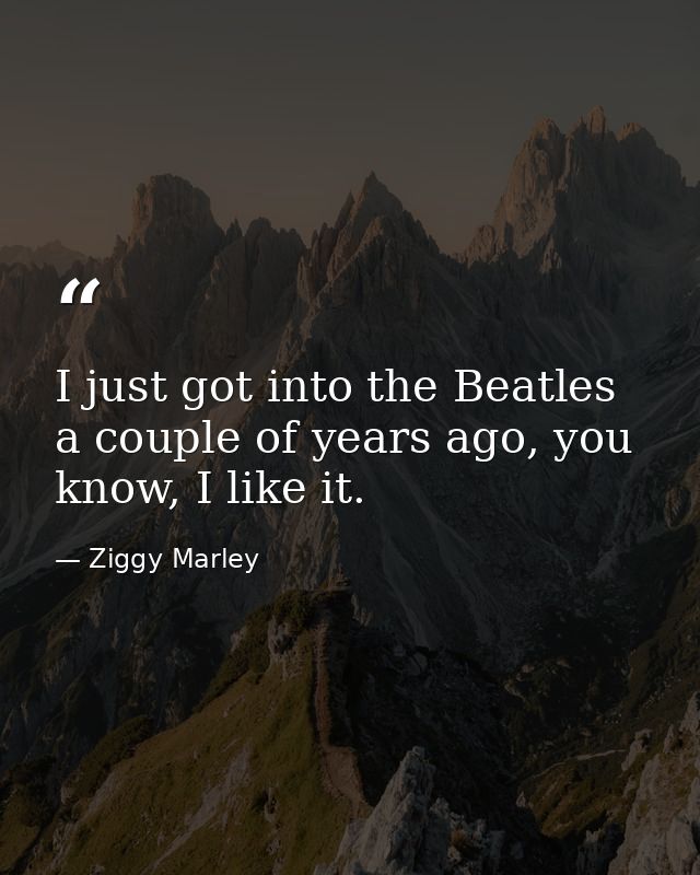 I just got into the Beatles a couple of years ago, you know, I like it. — Ziggy Marley
