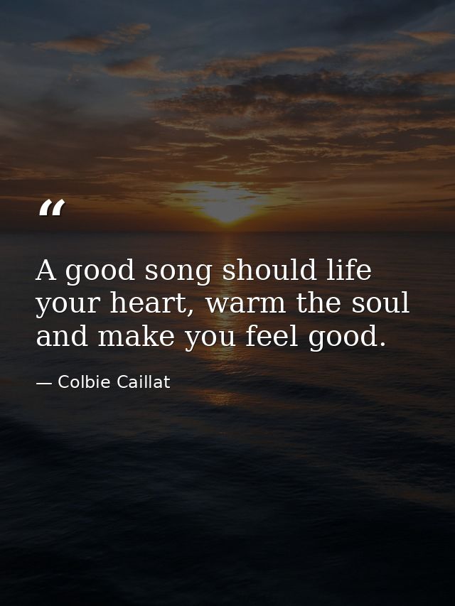 A good song should life your heart, warm the soul and make you feel good. — Colbie Caillat