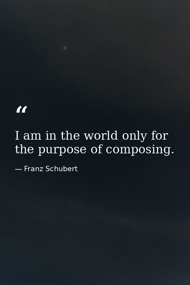 I am in the world only for the purpose of composing. — Franz Schubert
