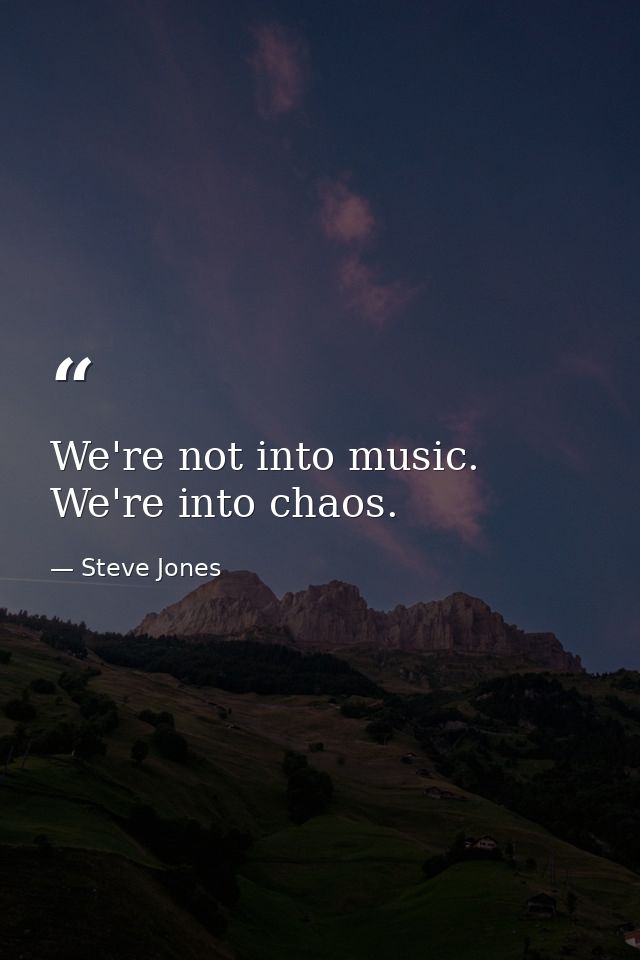 We're not into music. We're into chaos. — Steve Jones