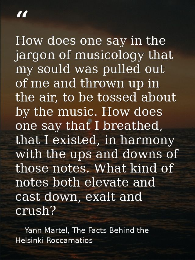 How does one say in the jargon of musicology that my sould was pulled out of me and thrown up in the air, to be tossed a — Yann Martel, The Facts Behind the Helsinki Roccamatios
