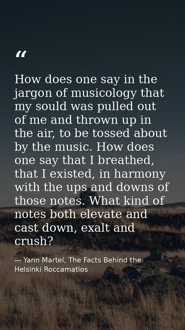 How does one say in the jargon of musicology that my sould was pulled out of me and thrown up in the air, to be tossed a — Yann Martel, The Facts Behind the Helsinki Roccamatios