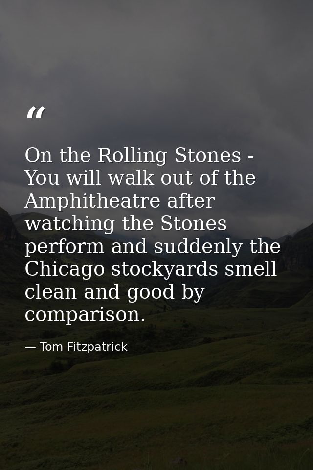 On the Rolling Stones - You will walk out of the Amphitheatre after watching the Stones perform and suddenly the Chicago — Tom Fitzpatrick