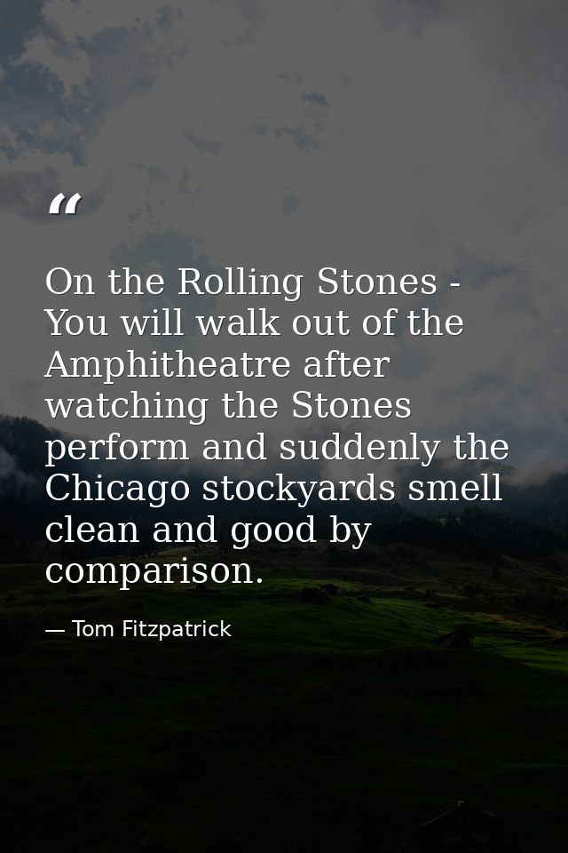 On the Rolling Stones - You will walk out of the Amphitheatre after watching the Stones perform and suddenly the Chicago — Tom Fitzpatrick