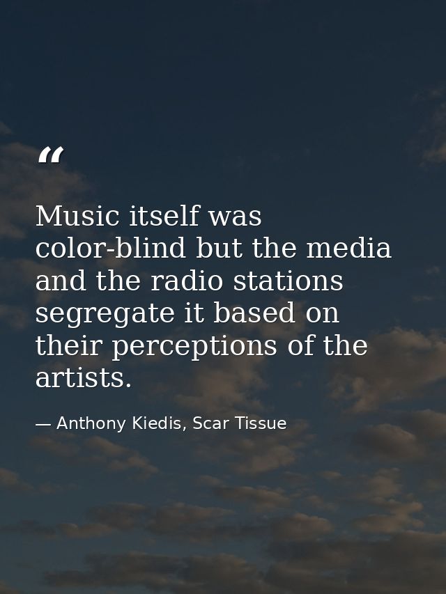 Music itself was color-blind but the media and the radio stations segregate it based on their perceptions of the artists — Anthony Kiedis, Scar Tissue