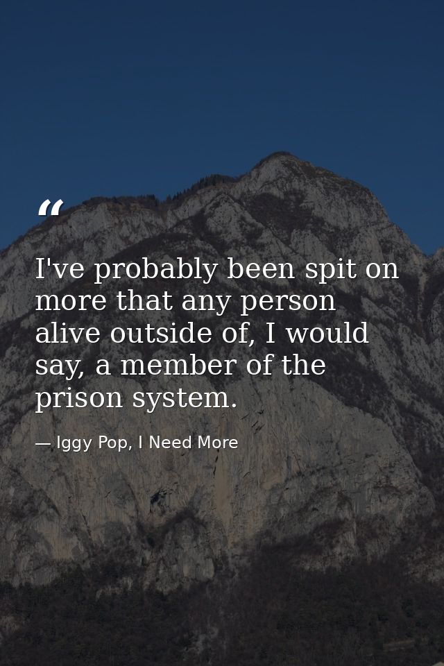 I've probably been spit on more that any person alive outside of, I would say, a member of the prison system. — Iggy Pop, I Need More