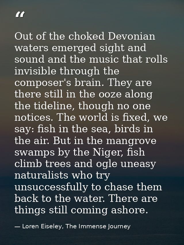 Out of the choked Devonian waters emerged sight and sound and the music that rolls invisible through the composer's brai — Loren Eiseley, The Immense Journey