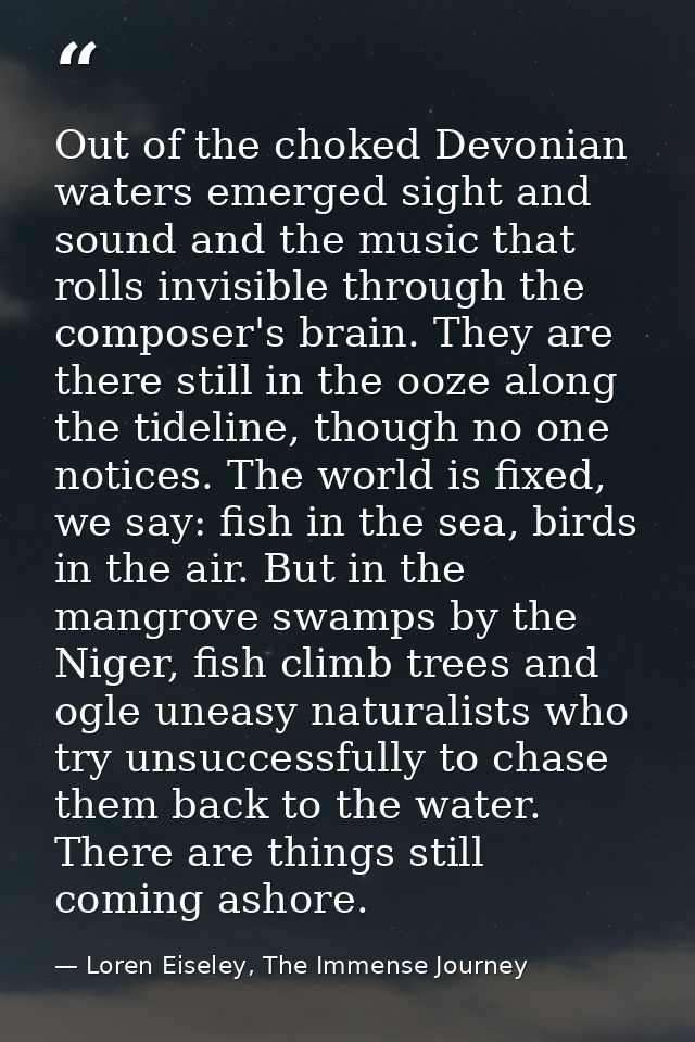 Out of the choked Devonian waters emerged sight and sound and the music that rolls invisible through the composer's brai — Loren Eiseley, The Immense Journey