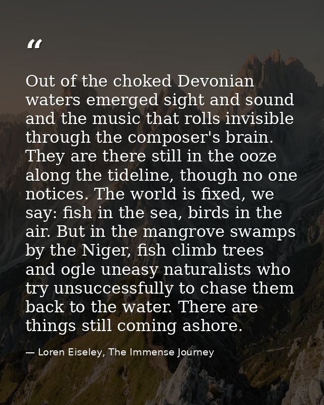 Out of the choked Devonian waters emerged sight and sound and the music that rolls invisible through the composer's brai — Loren Eiseley, The Immense Journey