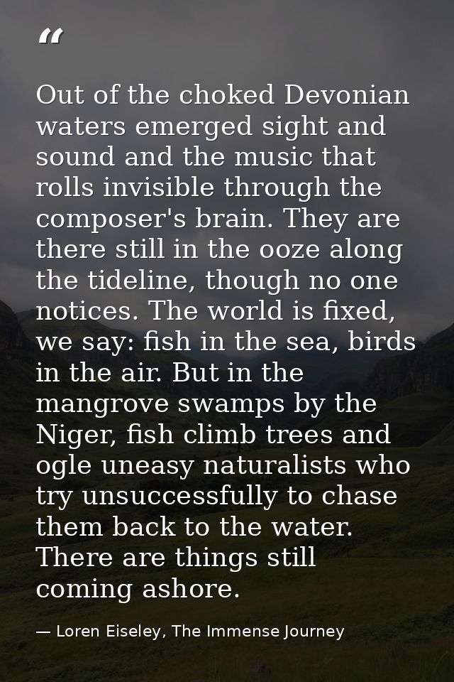 Out of the choked Devonian waters emerged sight and sound and the music that rolls invisible through the composer's brai — Loren Eiseley, The Immense Journey