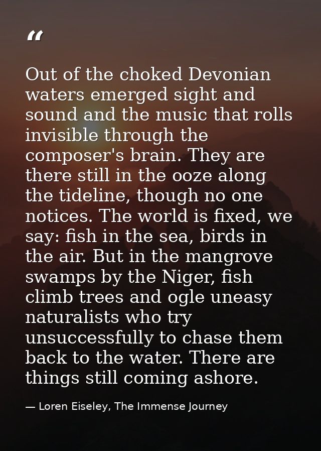 Out of the choked Devonian waters emerged sight and sound and the music that rolls invisible through the composer's brai — Loren Eiseley, The Immense Journey