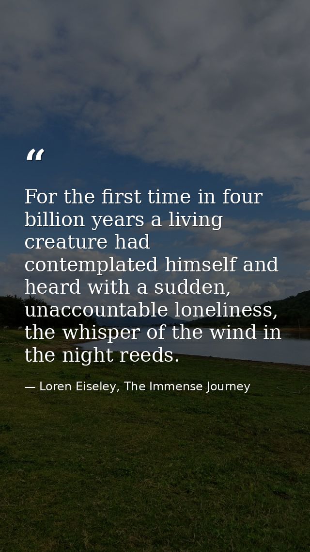 For the first time in four billion years a living creature had contemplated himself and heard with a sudden, unaccountab — Loren Eiseley, The Immense Journey