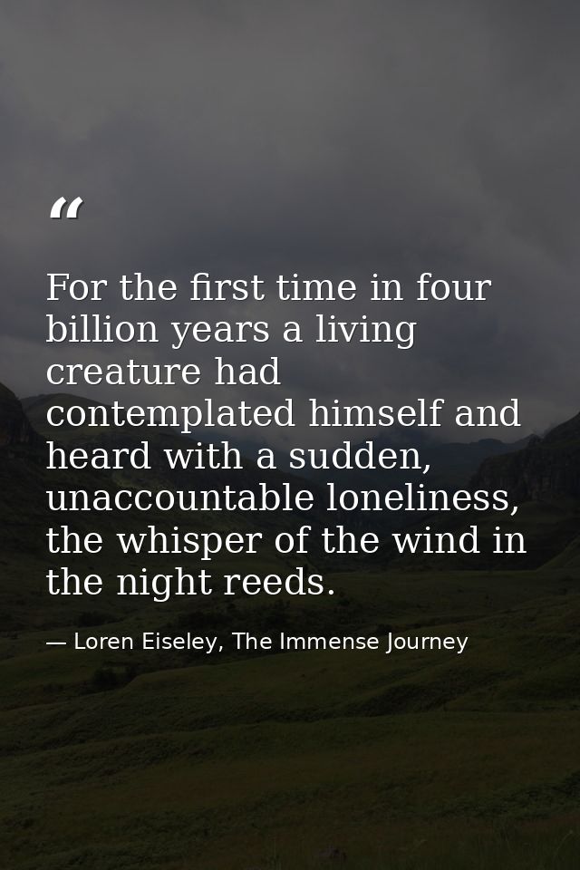 For the first time in four billion years a living creature had contemplated himself and heard with a sudden, unaccountab — Loren Eiseley, The Immense Journey
