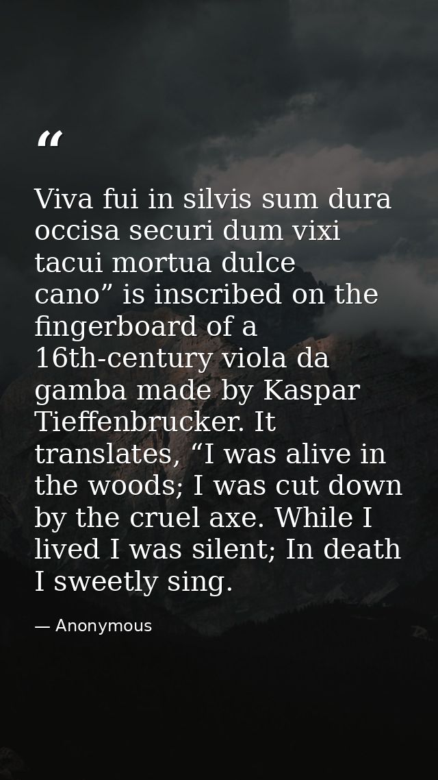 Viva fui in silvis sum dura occisa securi dum vixi tacui mortua dulce cano” is inscribed on the fingerboard of a 16th-ce — Anonymous