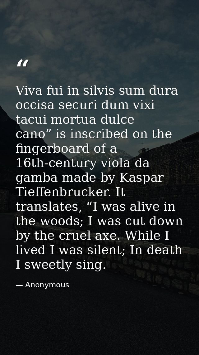 Viva fui in silvis sum dura occisa securi dum vixi tacui mortua dulce cano” is inscribed on the fingerboard of a 16th-ce — Anonymous