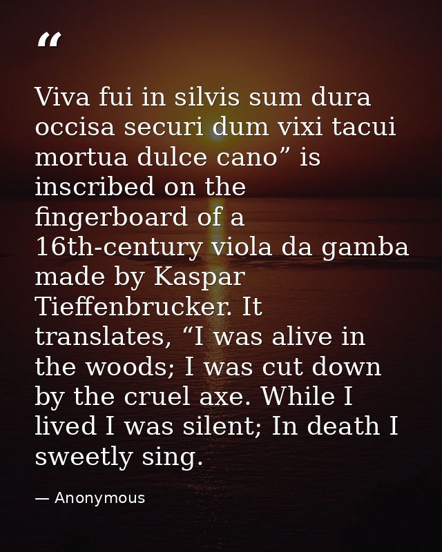Viva fui in silvis sum dura occisa securi dum vixi tacui mortua dulce cano” is inscribed on the fingerboard of a 16th-ce — Anonymous